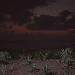 中国古代三级毛片梅丽莎
